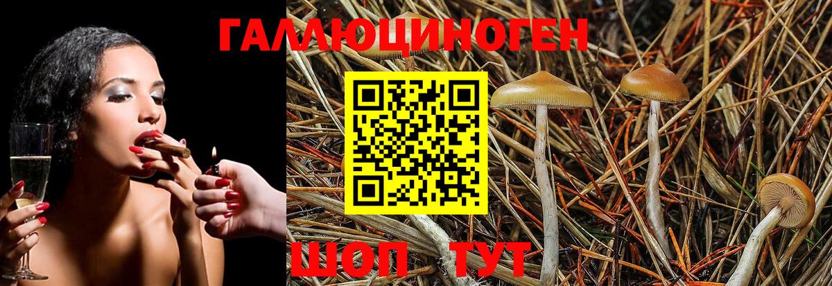 Псилоцибиновые грибы мухоморы Клинцы