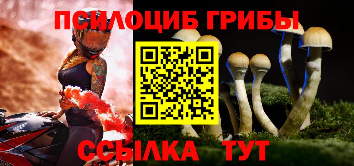 Галлюциногенные грибы GOLDEN TEACHER  Галлюциногенные грибы Psilocybine cubensis  Клинцы  Вход с VPN 